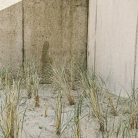 Aan Wal Sint-idesbald Appartamento Koksijde